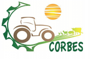 CORBE LOGO 3