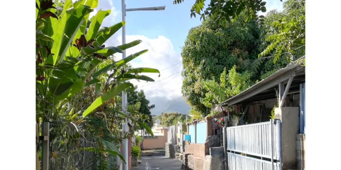 COMBI TOP 3 GRIFF – La Reunion – Maloya COMBI TOP 3 GRIFF - La Reunion - Maloya